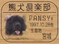 �I�[�i�[�͂o�`�m�}�}����ł���